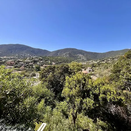 Apartment Avec Terrasse Et Piscine, 2 Pieces, 4 Couchages, A - Fr-1-226b-206 Cavalaire-sur-Mer